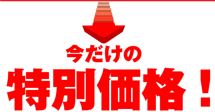 数量限定
