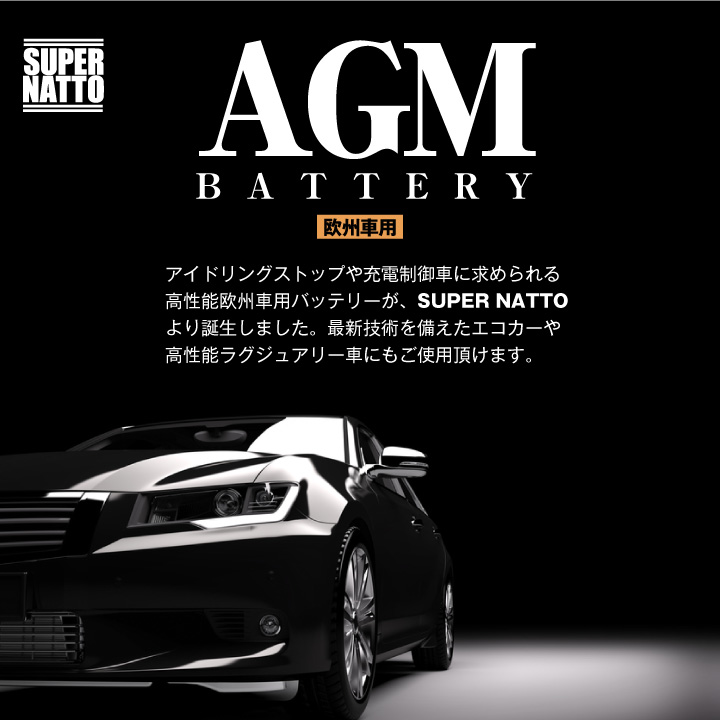 AGM1枚目