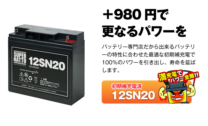 13472円 未使用 2-3週間 53-0554 12 ボルト バッテリー FLST 1991-1996