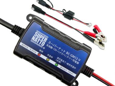 作成者 豊富な デイジー バッテリー 充電 器 12v 使い方 青写真 毎週 強盗